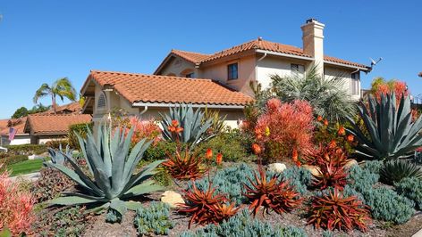 Desert Landscape Design, Drought Resistant Plants, Drought Tolerant Landscape, Foundation Planting, Drought Resistant, Desert Garden, Landscape Plan, Ground Cover Plants, Drought Tolerant Plants