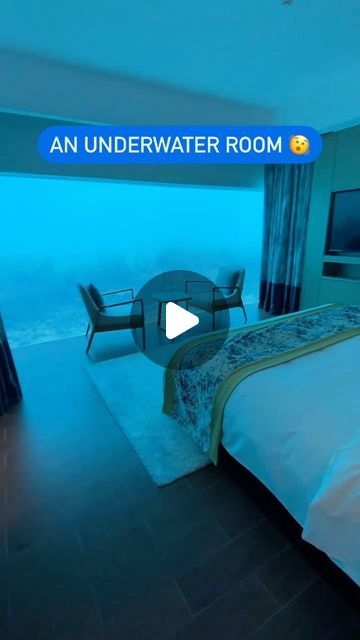 Skyscanner on Instagram: "Would you stay in an underwater hotel room? 

This one is in the Pullman Resort in the Maldives 🇲🇻

📹 Footage shot by @mariebucketlist 

#TravelReels #UnderwaterWorld #Maldives #MaldivesHotels" Underwater Hotel Room, Underwater Room, Underwater Hotel, Maldives Hotel, Maldives Resort, The Maldives, February 19, Underwater World, Hotel Room