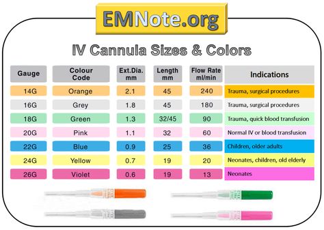 Iv Cannula, Vet Nursing, Dosage Calculations, Medical Assistant Student, Nursing School Tips, New Nurse, Emergency Medicine, Nursing Education, Medical Education