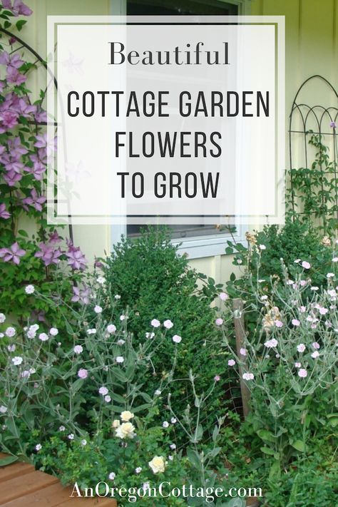 Beautiful, easy-grow plants for an English style cottage garden, no matter the style of your home. Tried and true pastel flowers for your front yard and borders that will bring your design layout to life. Simple Cottage Garden, English Style Cottage, Budget Flowers, Cottage Garden Flowers, Flowers To Grow, Cottage Flowers, Garden Site, Easy Gardening, Cottage Garden Plants