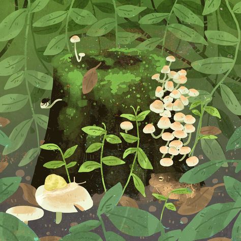 Aesthetic Plant, In The Woods, Gif, Plants, Green, Animals, Anime