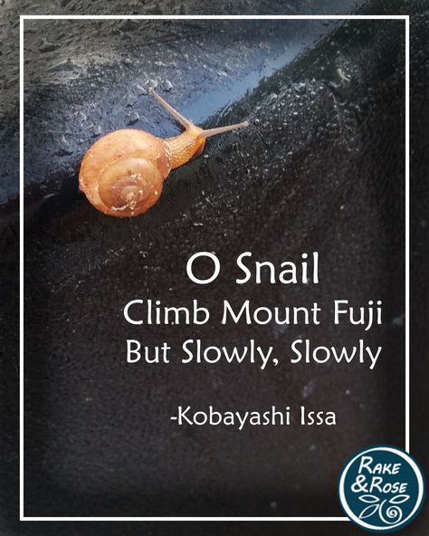 Happy Haiku! While looking for a way to use this photo I took a while back I came across one of the great poets of Japan Kobayashi Issa.   https://www.poetryfoundation.org/poets/kobayashi-issa  #poetry #snail #haiku #issa #takeitslow #bookish Kobayashi Issa, Great Poets, Haiku Poetry, Haiku Poems, Yin Yang Art, Garden Quotes, Mount Fuji, Haiku, Yin Yang