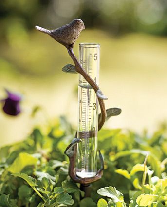 rain gauge Cottage Style Furniture, Charleston Gardens, Rain Gauges, Rain Chains, Rain Gauge, Garden Calendar, Urn Planters, Rain Chain, Living Off The Land