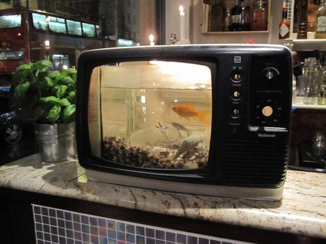 Cool Fish Tanks, Skins Uk, Cool Fish, London Pubs, Aquascaping, Trik Fotografi, Fish Bowl, Old Tv, Goldfish