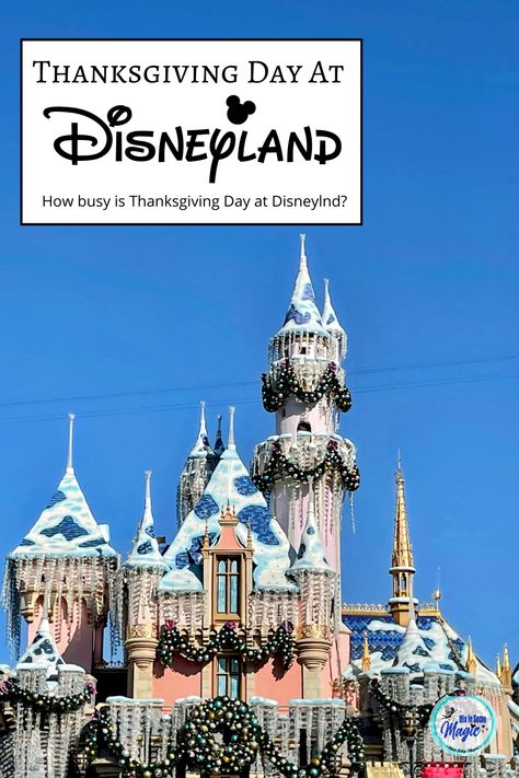 Is Disneyland busy on Thanksgiving Day? I've got all the info you need to know about crowd levels and Thanksgiving Day at Disneyland. Thanksgiving At Disneyland, Disneyland Thanksgiving, Disneyland Hacks, Disneyland Crowd Calendar, Crazy Stories, Disney Planner, Disneyland Planning, Disney Tickets, Disney California Adventure Park