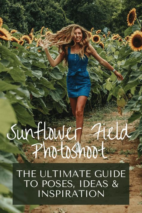 Field Photoshoot Poses, Pictures With Sunflowers, Sunflower Field Photoshoot, Sunflower Mini Session, Sunflower Photos, Sunflower Ideas, Sunflower Field Photography, Sunflower Field Pictures, Field Senior Pictures