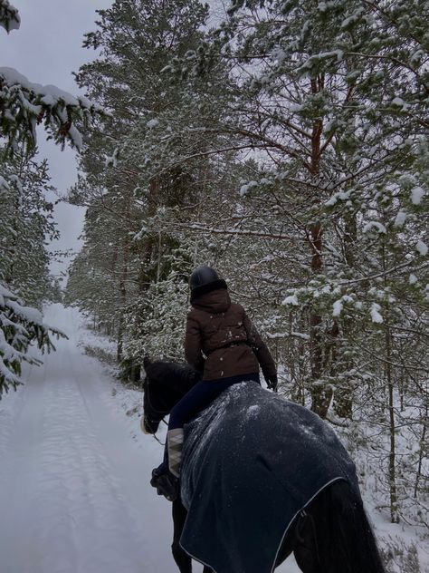 Equine Vet Aesthetic, Horses Aesthetics, Walks With Dog, Equestrian Aesthetic Black Horse, Riding Aesthetic, Horse Riding Aesthetic, Horsey Life, Mountain Aesthetic, Winter Horse