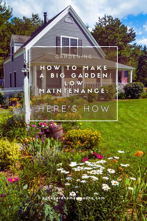 Design your garden using fewer high-maintenance plants to make low-maintenance garden. Opt for plants with similar care requirements to cut down on time. Mulch is a useful addition to the garden. Keep a small number of plants in the garden. Combine plants, activity areas, & grassy lawn sections in a yard. #gardeningtips #biggardenlowmaintenance #lowmaintenancegardenideas #largeyarddesign #plantsforlowmaintenancelandscaping #gardenplantsideas #backyardhomesteadhq Plants Activity, Garden Low Maintenance, Shade Tolerant Plants, Big Yard, Garden Design Layout, Large Yard, Big Garden, Low Maintenance Garden, High Maintenance