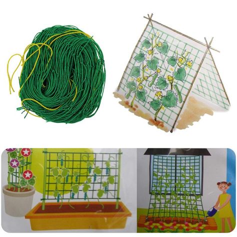 Best 6ft Garden Fence Millipore Nylon Net Climbing Frame Gardening Net Plant Fence Anti Bird Net Vegetable Plant Trellis Netting Under $35.18 | Dhgate.Com Plant Fence, Plastic Garden Fencing, Vegetable Trellis, Trellis Netting, Plant Trellis, Garden Netting, Garden Vines, Trellis Plants, Climbing Frame