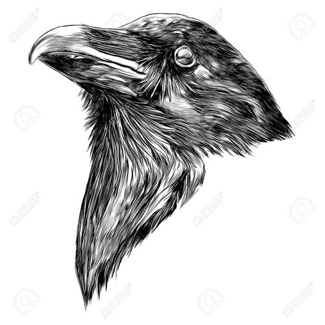 Raven Sculpture, Raven Head, Symbol For Family Tattoo, Head Sketch, Black And White Wallpaper Iphone, Ballpoint Pen Art, Scary Drawings, Head Tattoo, Sketches Of People