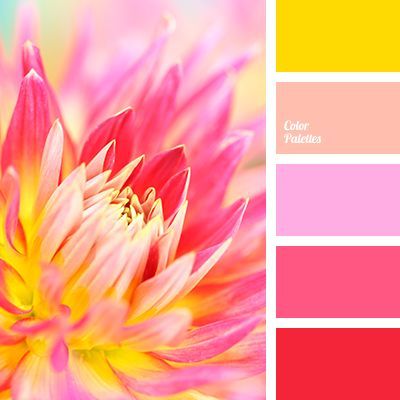 Color Palette #3819 | Color Palette Ideas | Bloglovin’ Red Color Pallets, Color Palette Ideas, Decor Color Schemes, Color Palette Yellow, Palette Design, Color Schemes Colour Palettes, Palette Ideas, Color Palette Pink, Color Palate