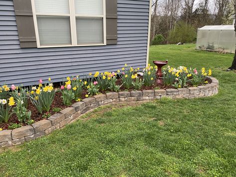 Trailer Park Landscaping Ideas, Flower Beds Around House, Garden Landscaping Backyard, Window Wells, Yard Remodel, Front Yard Patio, Front Flower Beds, Landscaping Around Trees, Front Yards Curb Appeal