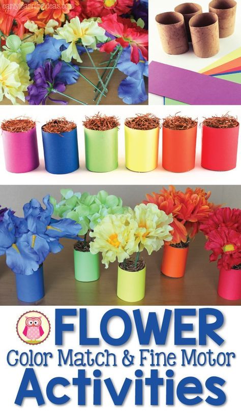 Use flowers from the dollar store and paper towel rolls to make a fun flower color matching activity. Kids can also use the set for counting practice or in a dramatic play flower shop. The flower activities are also great fine motor activities for kids in preschool, pre-k, kindergarten, prep, and tot school. Flower Shop Pretend Play, Flower Activities For Kids, Flower Activities, Memory Care Activities, Counting Practice, Preschool Garden, Paper Towel Crafts, Kindergarten Prep, Dramatic Play Preschool