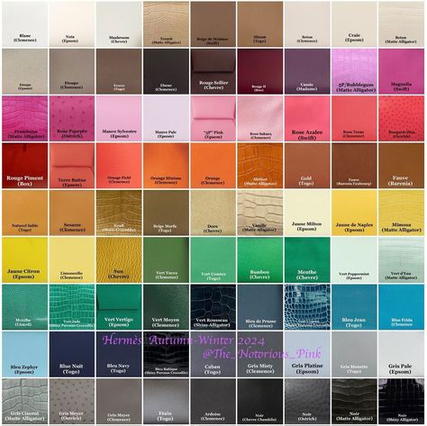 Hermes Fall Winter 2024 Handbag Color Chart Celebrity Bags, Shirt Knot, Jungle Love, Autumn Winter 2024, Hermes Constance, Kelly Bag, Fall Winter 2024, Color Analysis, Rose Gold Hardware