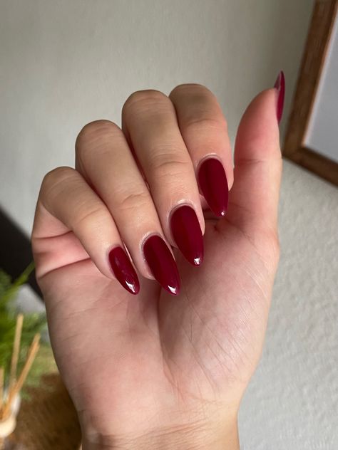 Maroon Oval Acrylic Nails, Crimson Red Almond Nails, Red Acrylic Nails Pointy, Red Sharp Almond Nails, Fall Russian Manicure, Dark Red Nails Almond Shape, Fall Nail Almond Shape, Mandelforming Nails, Almond Nails Fall Design