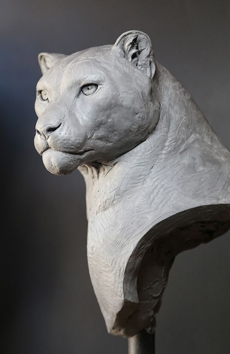 ArtStation - Snow Leopard (2016), Hatch Effects Panther Sculpture, Lion Art, Animal Statues, Ceramic Animals, Pottery Sculpture, Arte Animal, Animal Heads, Snow Leopard, Sculpture Clay