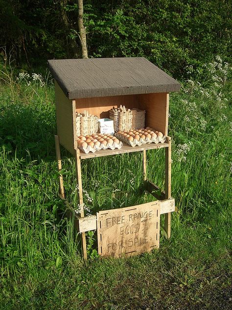 Cool.... honesty boxes.. If only there were no thieves... Selling Eggs, Chickens Backyard Breeds, Best Egg Laying Chickens, Free Range Eggs, Eggs For Sale, Vegetable Stand, Egg Laying Chickens, Coop Ideas, Backyard Chicken Farming