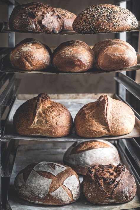 dough, sourdough, bread, bread making, sourdough bread, loaf, loaves, photography, styling, food, food photography, new zealand, flour, bakery, rack, racks Bread Brands, Bread And Roses, Bakery Store, New Zealand Food, Bread Baker, Sourdough Bread Recipe, Our Daily Bread, Bakery Bread, Sourdough Recipes