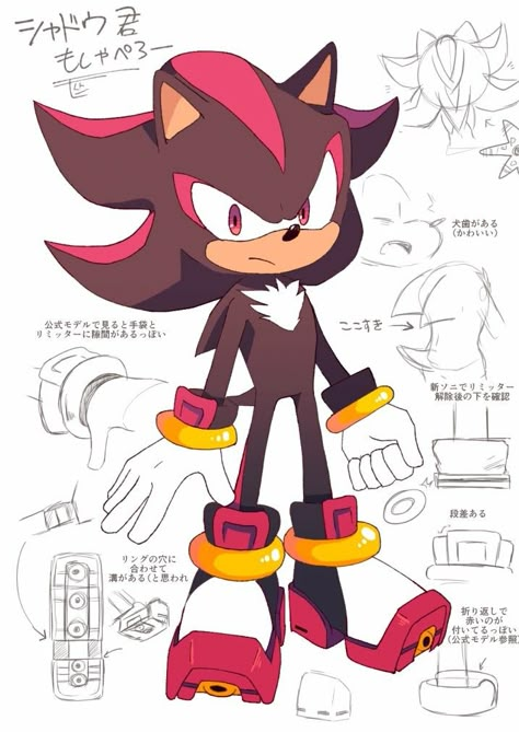 Hedgehog Reference, Sonic Bases, How To Draw Shadow, Draw Sonic, Sonic Drawing, How To Draw Sonic, Hedgehog Drawing, Shadow Drawing, Shadow And Amy