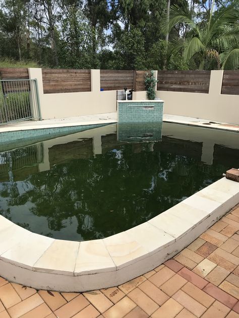 This pool has gone green from no attention over a long period of time. Call Gizmo’s Pool Care to clean up all your green pool problems. Green Pool, Pool Care, Pool Cleaning, Go Green, Clean Up, Period, Pool, Outdoor Decor, Green