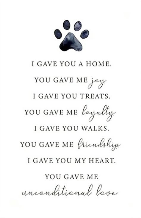 Having To Put Your Dog Down Quotes, Dead Dog Quotes, Soul Dog Quotes, Rip Dog Quotes, Pet Prayers, Aaron Minyard, Pet Sayings, Pets Quotes, German Shepherd Quotes