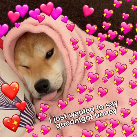 Cute Memes For Him Goodnight, Goodnight Wholesome Pic, Good Night Crush, Goodnight Wholesome, Goodnight Reaction Pic, Anime Goodnight, Goodnight Aesthetic, Goodnight Meme, Cute Goodnight