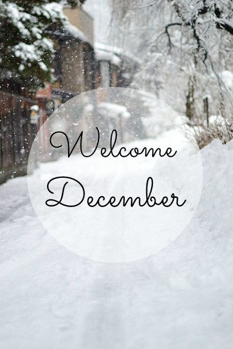 Wow, December already! How did that happen?!? So excited for the next few weeks, LOVE This time of year xx Winter Schnee, I Love Snow, Winter's Tale, I Love Winter, Winter Love, Winter Magic, First Snow, Winter Beauty, Snow Scenes