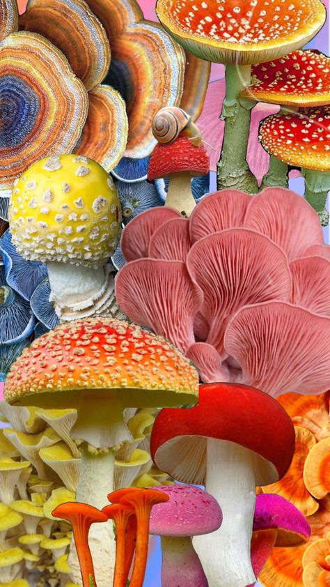 Mushroom Magic #mushrooms #psychedellic #trippy #colorful #mycology Mushroom Backgrounds Aesthetic, Mushroom Screensaver, Mycology Aesthetic, Mushroom Illustration Trippy, Shroom Illustration, Pink Mushroom Aesthetic, Mushroom Backgrounds, Mushroom Wallpaper Iphone, Colorful Mushroom Art