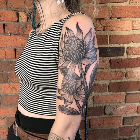 Waratah Flower Tattoo, Waratah Tattoo, Waratah Drawing, White Waratah Bouquet, Waratah Watercolour, Waratah Flower, Australian Tattoo, Floral Tattoo Sleeve, Botanical Tattoo