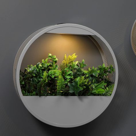 Modern Circular Shaped Wall Planter Removable External Solar Panel One Warm White LED Fixing Kit Included 35cm (Diameter) Metal Wall Planters, Wall Planters Indoor, Outdoor Fairy Lights, Solar Pathway Lights, Garden Mirrors, Solar Wall Lights, Grey Metal, Home Garden Design, Modern Planters