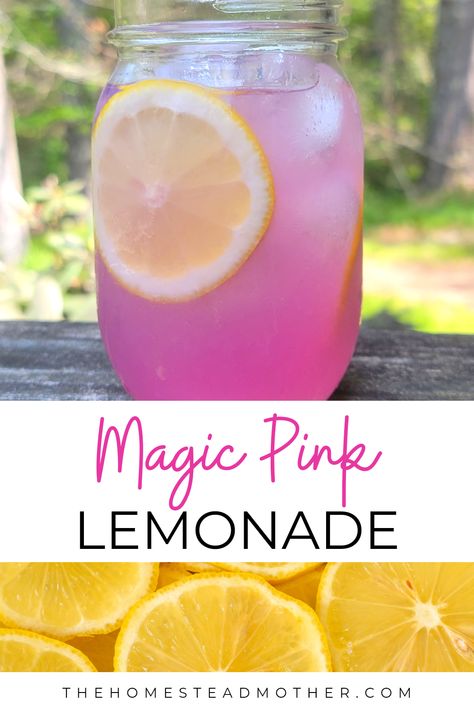 Wild Violet Pink Lemonade - The Homestead Mother Drinks With Pink Lemonade, Pink Lemonade Party Punch, Unique Lemonade Recipes, How To Make Pink Lemonade, Fairy Lemonade, Magic Lemonade, Colorful Lemonade, Glitter Lemonade, Pretty Lemonade