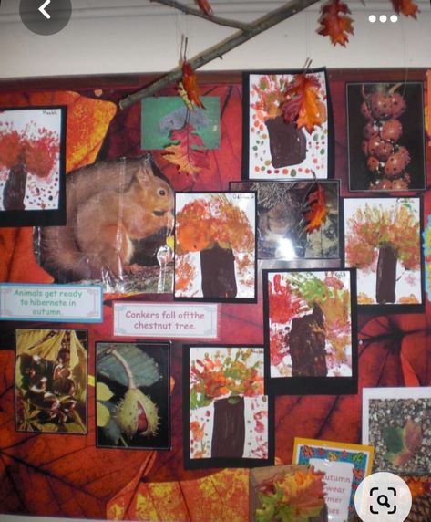 Autumn Display Boards Nursery, Autumn Display Eyfs, Autumn Display Boards, Autumn Eyfs, Classroom Display Boards, Tree Study, Fall Kindergarten, Display Boards, Fall Fest