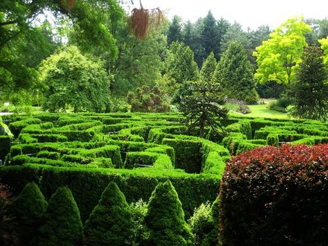 VanDusen Botanical Gardens // Vancouver Vancouver Tourist Attractions, Columbia Trip, Amazing Maze, Topiary Garden, Vancouver British Columbia, Memorial Garden, Plant Species, Vancouver Canada, No 8