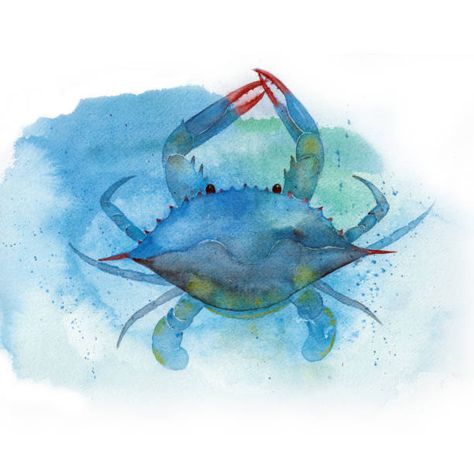 Blue Crab Watercolor, Crab Watercolor, Crab Art, Crab Print, Blue Crab, Fine Arts Posters, Art And Technology, Sea Life, Blue Sea