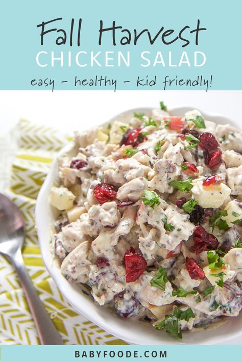 Harvest Chicken Salad — Baby FoodE | Adventurous Recipes for Babies + Toddlers Harvest Chicken Salad, Harvest Chicken, Healthy Harvest, Cubed Chicken, Whole Wheat Pita, Toddler Lunches, Mustard Dressing, High Fiber Foods, Fiber Foods