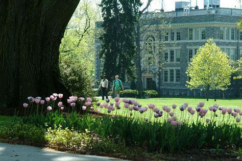 Haverford College is ranked number nineteen on Forbes top 25 colleges list. Haverford College Aesthetic, Hades Daughter, Haverford College, College List, College Aesthetic, New England Style, Top Art, College Life, Colleges And Universities