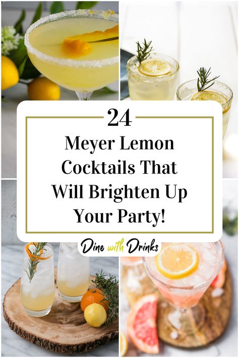 Collage of 4 meyer lemon cocktails. Meyer Lemon Cocktail, Meyer Lemon Cocktail Recipes, Cocktails With Lemon, Lemon Cocktail Recipes, Lemon Cocktails, Lemon Drink Recipes, Prosecco Cocktail Recipes, Meyer Lemon Recipes, Rs Activities