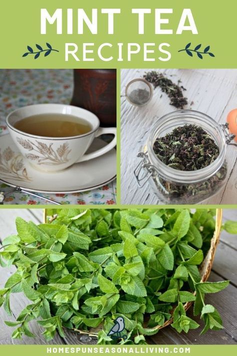 Mint Tea Benefits, Mint Tea Recipe, Tea Blends Recipes, Tomato Nutrition, Fruit Health Benefits, Healthy Hydration, Homemade Tea, Herbal Teas Recipes, Lemon Benefits