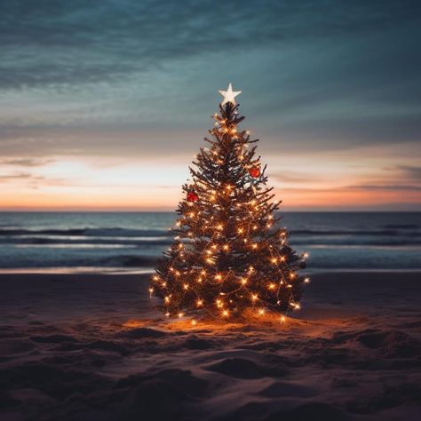 Before The Sunrise, Christmas Lights Wallpaper, Christmas Tree Wallpaper, Xmas Pictures, Birthday Photo Frame, Christmas Post, Wallpaper Iphone Christmas, Coastal Christmas, The Sunrise