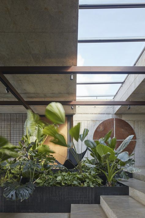 Biophilia: 10 new examples of nature and the built environment coexisting harmoniously | News | Archinect Small Indoor Garden, Villa Concept, Design Garden Ideas, Ideas Garden Design, Blue Spirit, Law Of The Jungle, Tropical Architecture, Garden Indoor, Concept Ideas