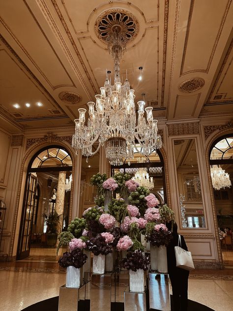 The Plaza Hotel Nyc Aesthetic, The Plaza Aesthetic, Angelica Aesthetic, Affirmation Pictures, The Plaza Hotel Nyc, Nfl Wife, Nfl Wives, Eloise At The Plaza, Life Mood Board