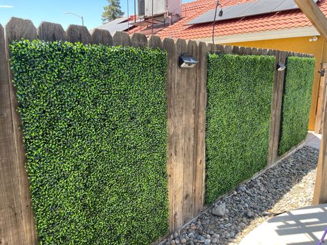 Greenery On Fence, Greenery Fence, Fence Greenery, Fake Wall, Backyard Sitting Areas, Fake Walls, Yard Gate, Wood Privacy Fence, Wood Fence Design