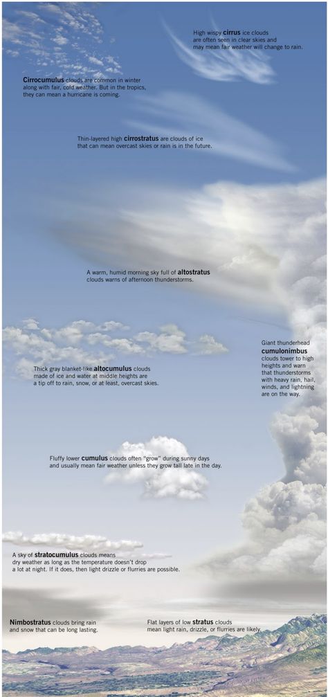 What do different clouds mean for the weather? Different Clouds Types Of, Different Kinds Of Clouds, Meteorology Notes, Cloud Facts, Cloud Meaning, Clouds Meaning, Clouds Types, Type Of Clouds, Cirrostratus Clouds