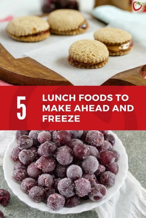 Freezer Lunches For Kids, Freezer Lunches, Packable Lunch, Lunch Foods, School Lunch Recipes, Freezer Food, Freezer Recipes, Super Healthy Kids, School Prep