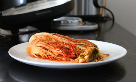 How to Make Small Batch Cabbage Kimchi - Jem Ferments Kimchi Food, Improve Immunity, Yoon Park, Fermented Kimchi, Sour Foods, Kimchi Recipe, Probiotic Foods, Candida Diet, Napa Cabbage