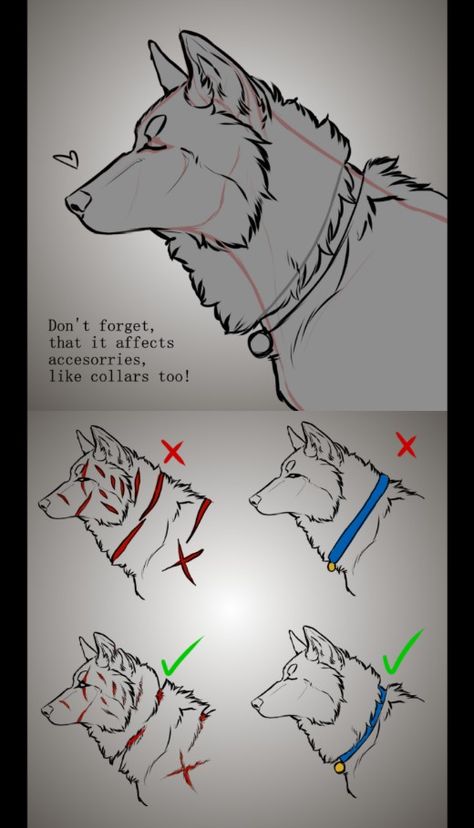 Tail Drawing Reference Wolf, Wolf Tutorial Drawing, Mech Drawing Design Reference, Dog Muzzle Drawing Reference, Wolf Reference Drawing, Wolf Base Drawing, Animal Base Drawing, Scar Tutorial, Wolf Drawing Reference