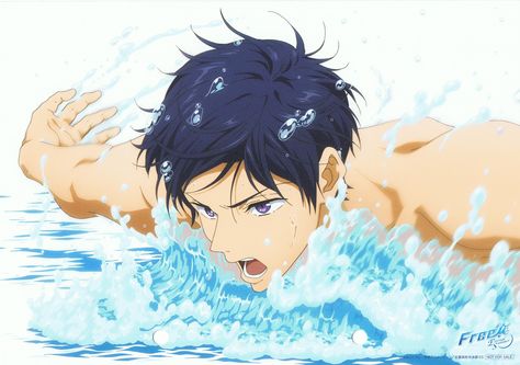 Free! Iwatobi Swim Club | Rei Ryugazaki Rei Free, Dvd Art, Swimming Anime, Rin Matsuoka, Free Eternal Summer, Accel World, Splash Free, Free Iwatobi Swim Club, Kyoto Animation