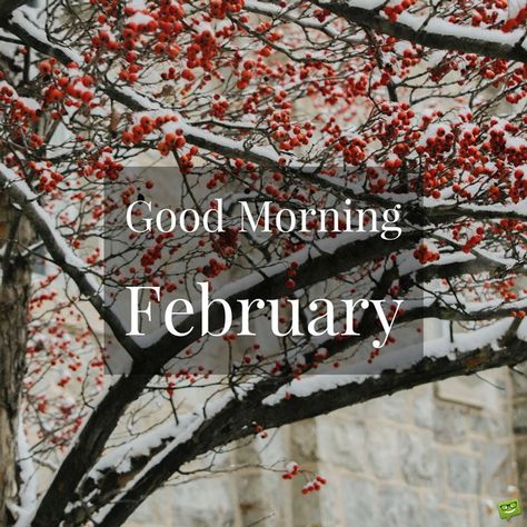 Good Morning, February. Quotes For February, Hello February Quotes, Welcome February, February Quotes, Romantic Good Morning Messages, Monthly Quotes, Happy National Day, Monthly Pictures, Happy February