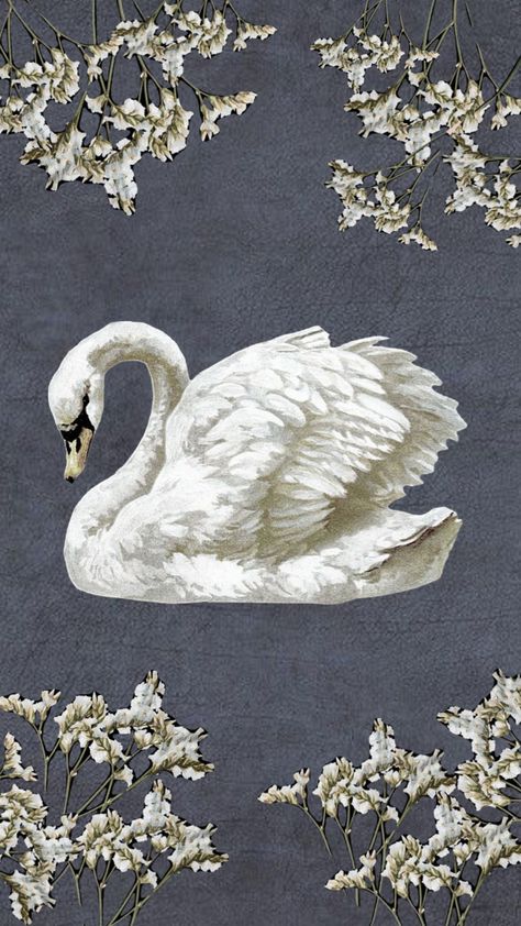 #backround #wallpaper #vintageaesthetic #vintage #aesthetic #renaissance #swan #swanlake #art Swan Aesthetic, Swan Wallpaper, Wallpaper Boho, Phone Wallpaper Boho, Book Wallpaper, Swan Lake, Wallpapers Vintage, Wallpaper Pc, Swans