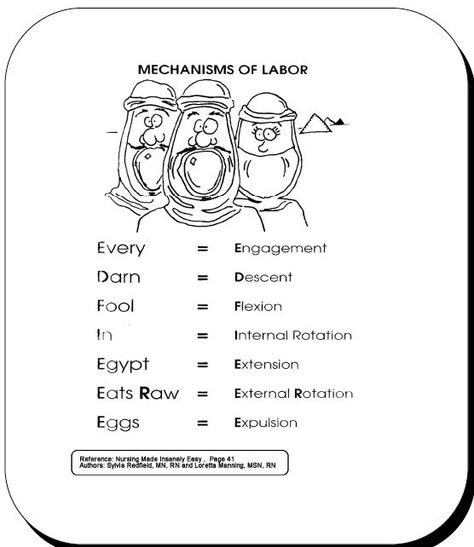 Fetal, Labor Mnemonic, Labor Nurse, Cardinal Movements Of Labor, Labor ... Cardinal Movements Of Labor, Nursing Ob, Nursing Facts, Peds Nursing, Nursing Work, Midwifery Student, Newborn Nursing, Ob Nurse, Child Nursing